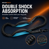 Double shock absorbing bungee dog leash